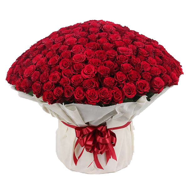 201 Red Roses Bouquet-FLA46 Resim 2