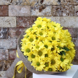  Antalya Flower Yellow Chrysanthemums-FLA23