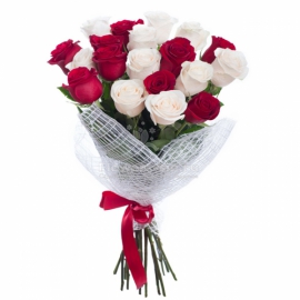  Antalya Florist Red-White 19 Roses-FLA25