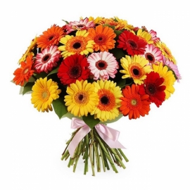  Antalya Flower Order Gerbera Bouquet-FLA31