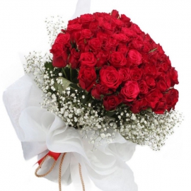 Antalya Çiçekçiler 51 Kırmızı Gül-FLA38