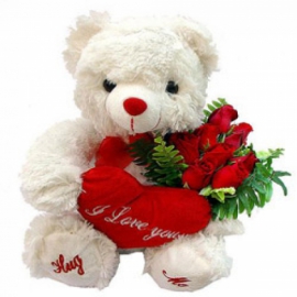 Antalya Flower Order Teddy Bear and Roses-FLA47