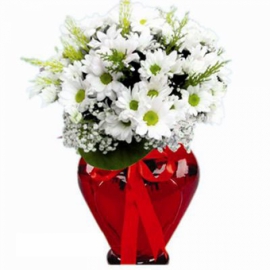  Antalya Çiçek Kalp Vazoda Krizantem-FLA52